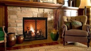  Portes de cheminée en verre ignifuge