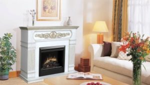  Foyer électrique avec portail