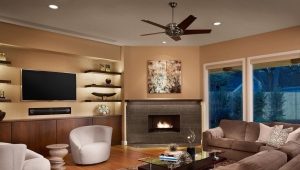  Salon avec cheminée et télévision