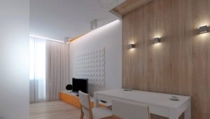  Interior studio of 26 square meters. m