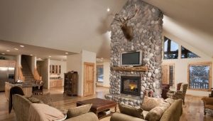  Cheminée avec chauffe eau