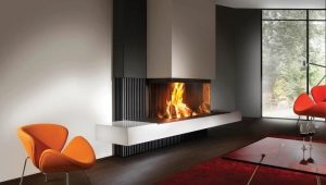  Cheminée avec vitre