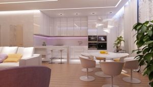  Cuisine combinée avec une pièce ou un couloir