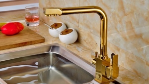  Robinet de cuisine avec robinet d'eau potable