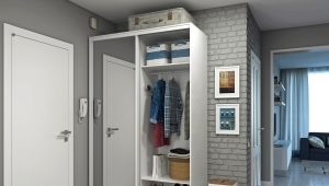  Remplir la garde-robe dans le hall