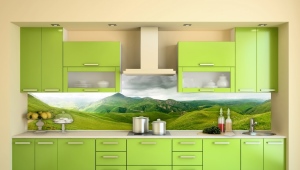  Plastique pour le tablier de cuisine