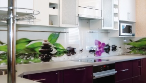  Panneaux en plastique pour la cuisine