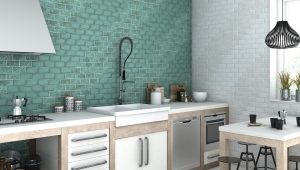  Briques de tuiles pour la cuisine