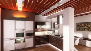  Plafond dans la cuisine