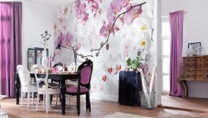  Dessins sur les murs de la cuisine