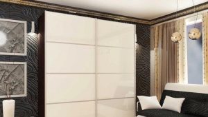  Armoire coulissante Ronikon