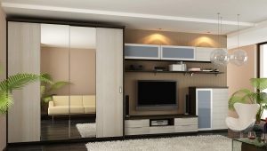  Armoire coulissante dans le salon