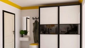  Armoire coulissante dans le couloir