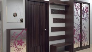  Armoire coulissante dans le hall