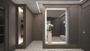  Armoire dans le couloir: idées de design