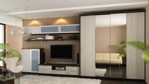  Armoire coulissante dans le hall