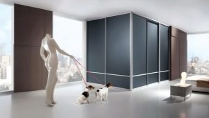  Armoire encastrée d'angle