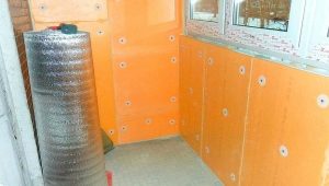  Réchauffement de la loggia des penopleks