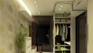  Garde-robe étroite dans le hall