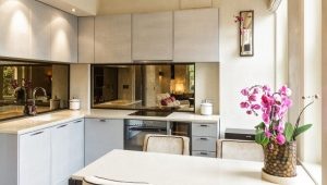  Tablier miroir pour la cuisine