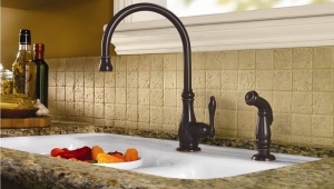  Mélangeur de cuisine en pierre