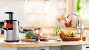  Arten von Entsaftern