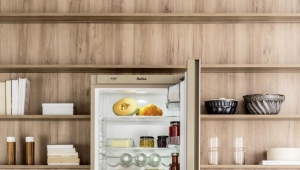  Hansa réfrigérateur