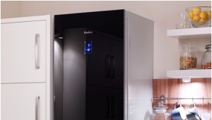  Réfrigérateurs en verre noir