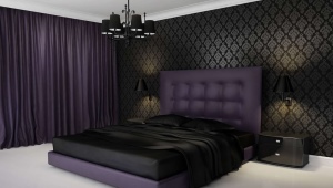  Chambre aux couleurs sombres
