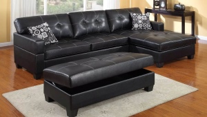  Schwarzes Ledersofa