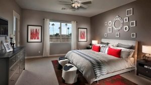  La couleur des murs de la chambre