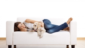  Sofas Akkordeon auf Metallrahmen