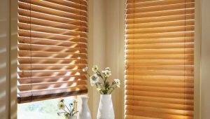  Horizontal blinds