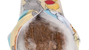  Kokosmatratze in der Krippe
