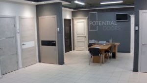  Potentiel des portes