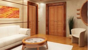  Comment choisir la porte de la salle: caractéristiques et recommandations