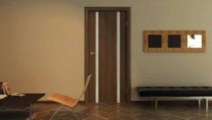  Comment choisir les portes plaquées?