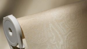  Mécanisme pour stores enrouleurs