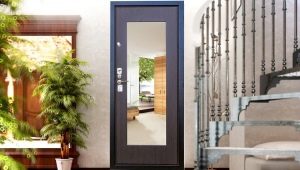  Portes en métal avec un miroir