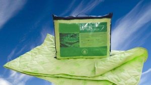  Aloe Vera Deckenfüller