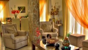  Organza pour rideaux