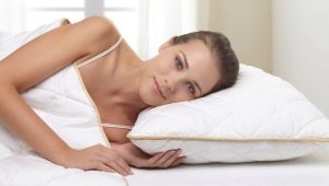  Pillows with aloe vera