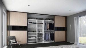  Schränke im Wohnzimmer in der Wand