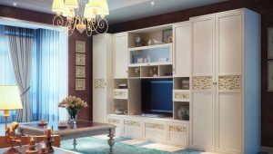  Murs avec un placard spacieux dans la chambre