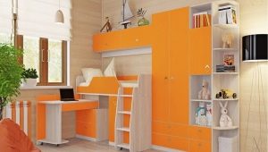  Les murs de la pépinière