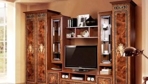  Les murs du salon à la manière d'un classique