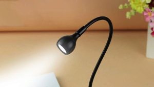  La lampe sur la pince à linge