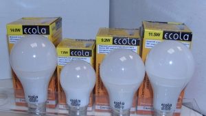  Ampoules LED ecola