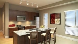  Système d'éclairage sur rail