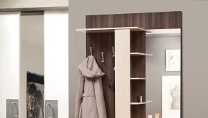 Narrow wardrobe in the hallway